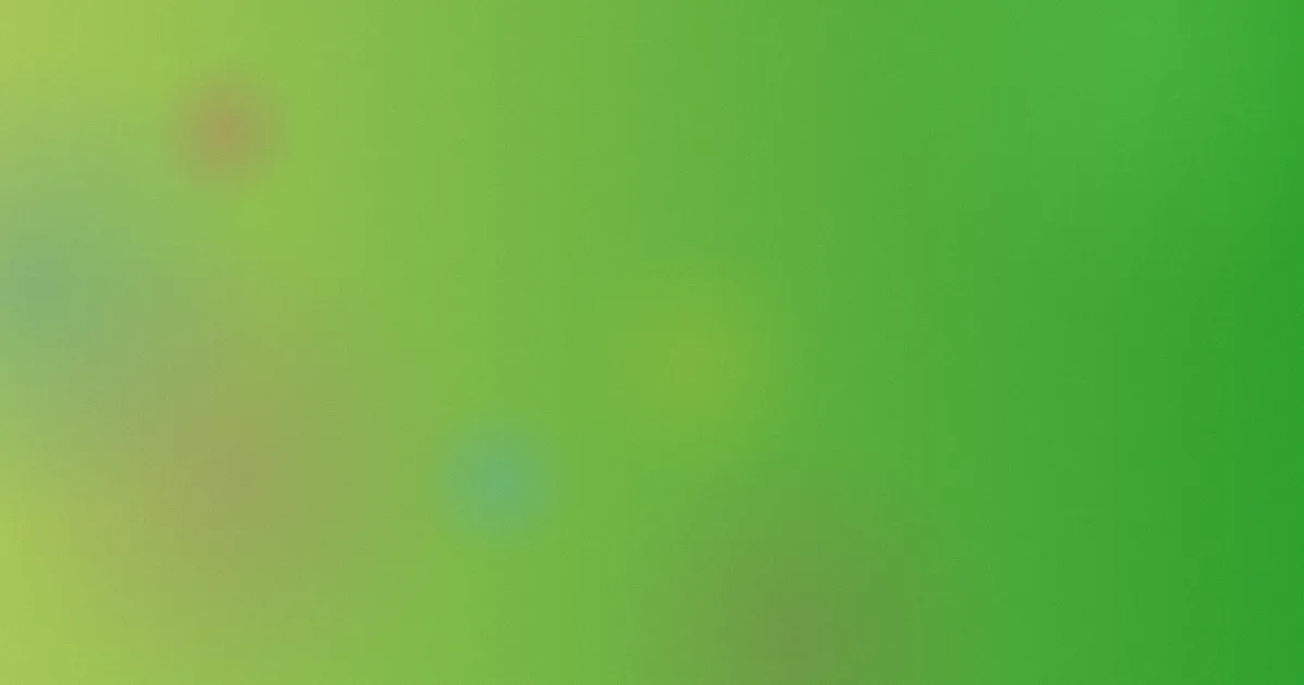 黑闪测评：这些坑别踩